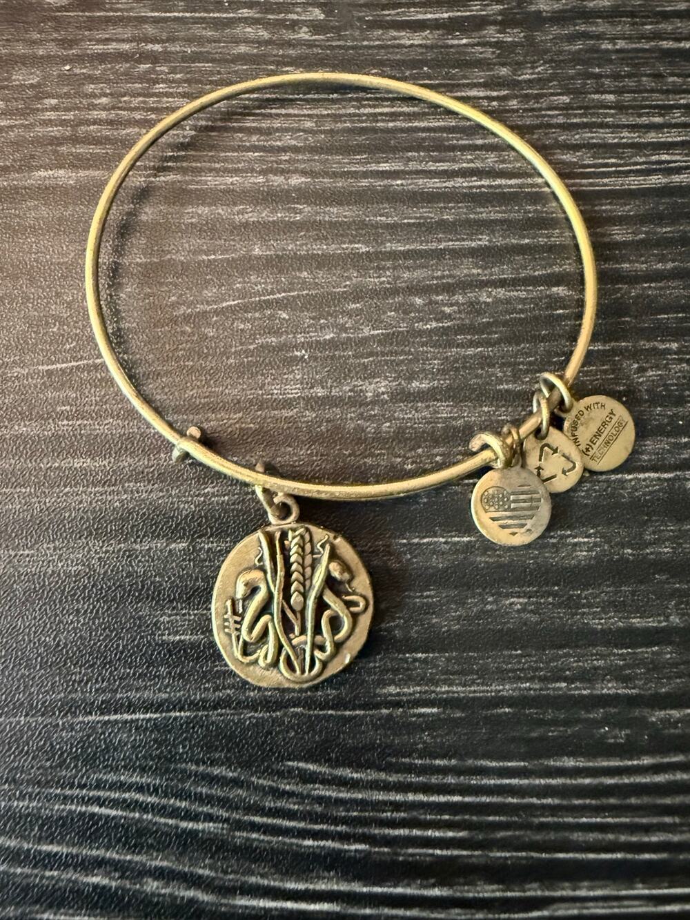 Alex and Ani Bracelet Rulers Of The Woods Reed Gold Bangle Charm Pure Clarity